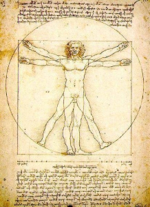 VITUVIO
