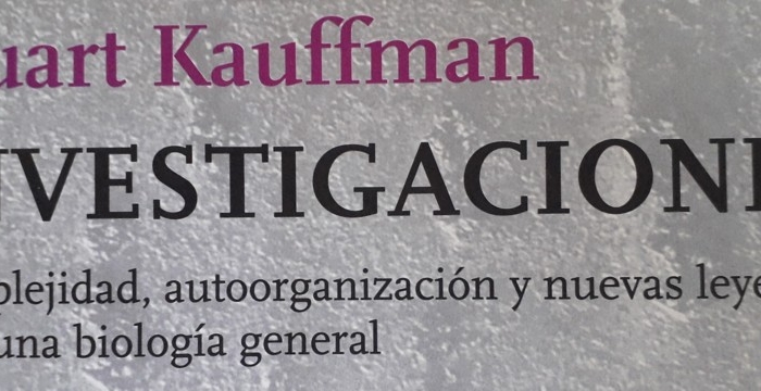 kauf